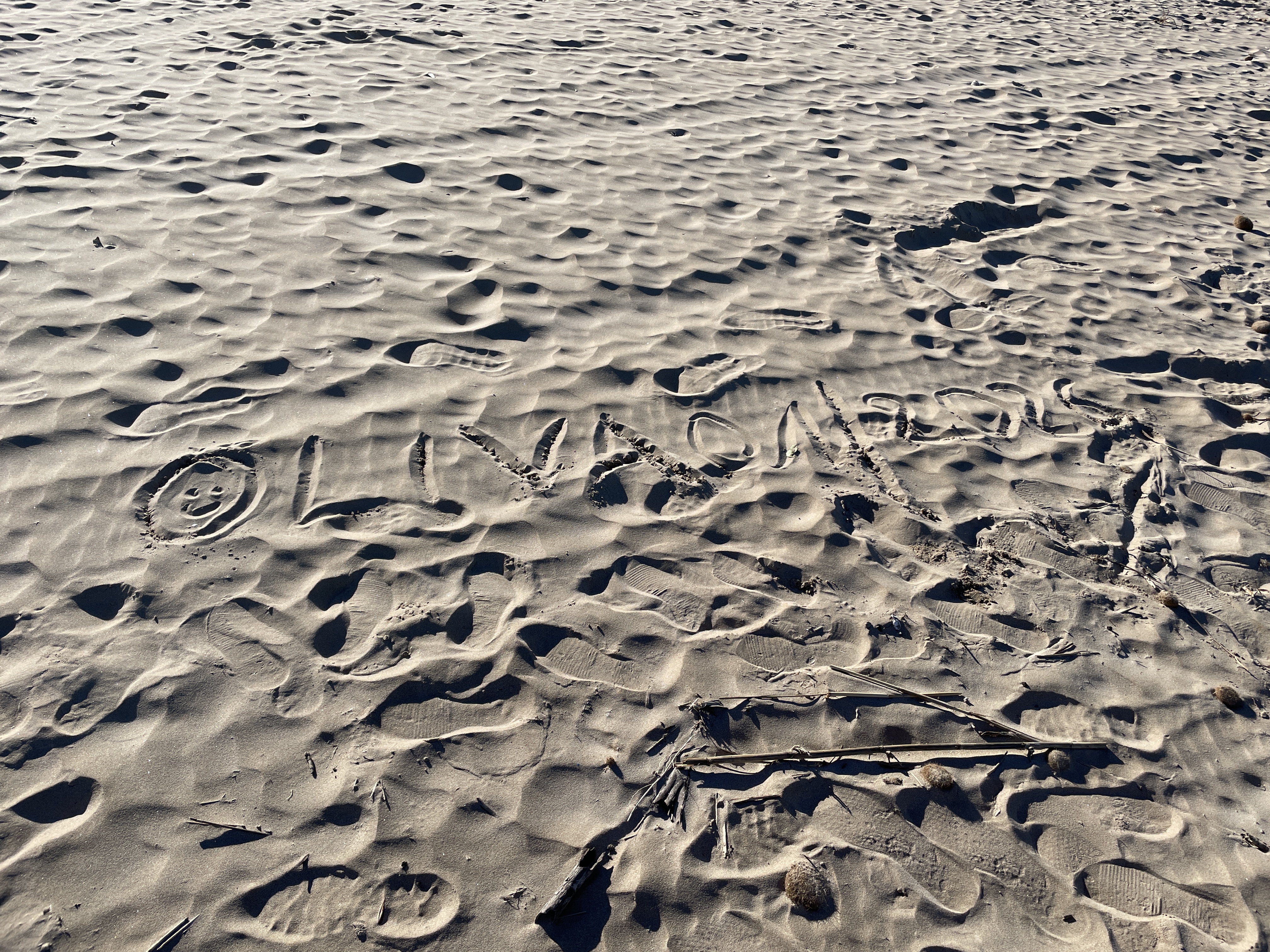 173 07 01 2026 IMG 6512